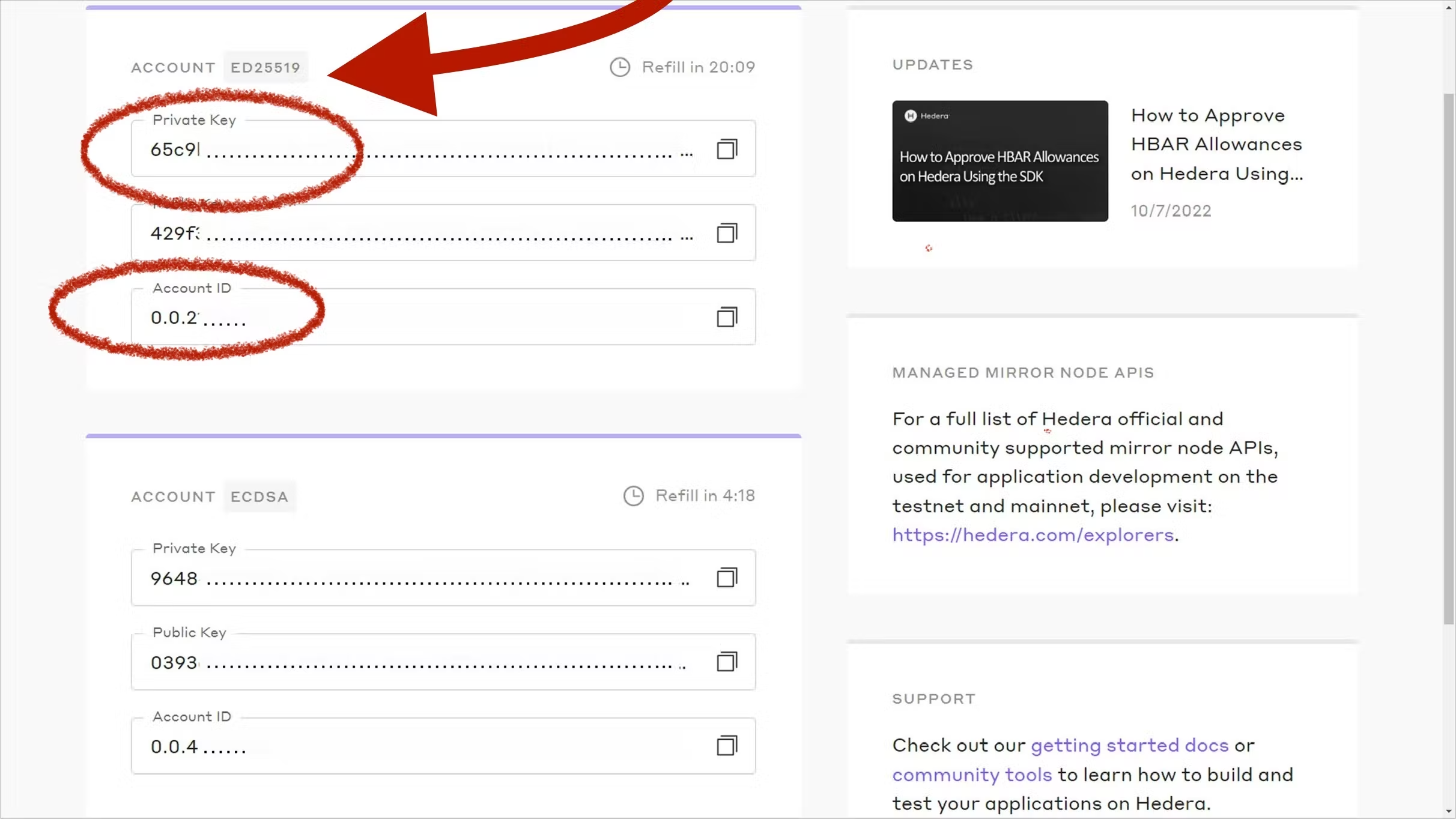 Hedera developer portal dashboard with your account ID and public/private keys.